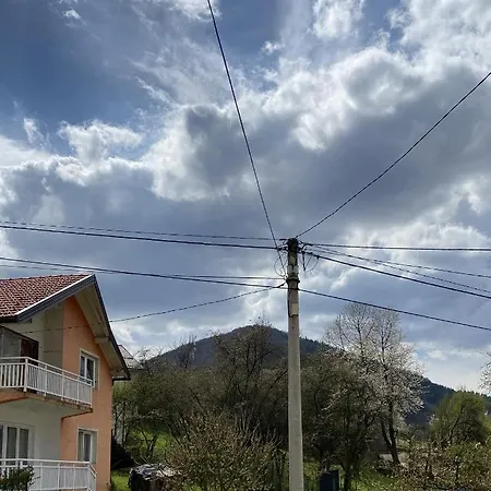 Lejla Daire *